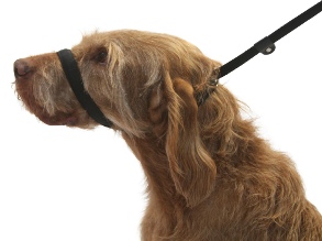 Dogs & Co Figure of 8 dog lead